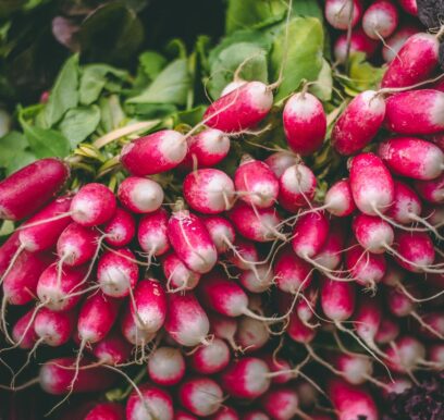 BOROUGH MARKET FRESH FOOD-1